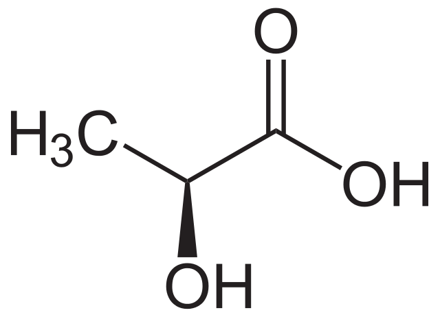 laktatmolekyl